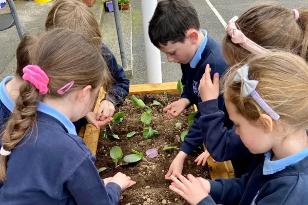 Kids planting veggies