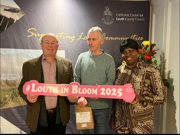 2025 Louth in Bloom Award